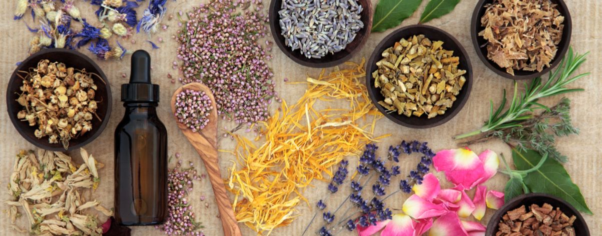naturopatia - tallerdesalud.es